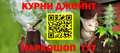 spice Ярославль