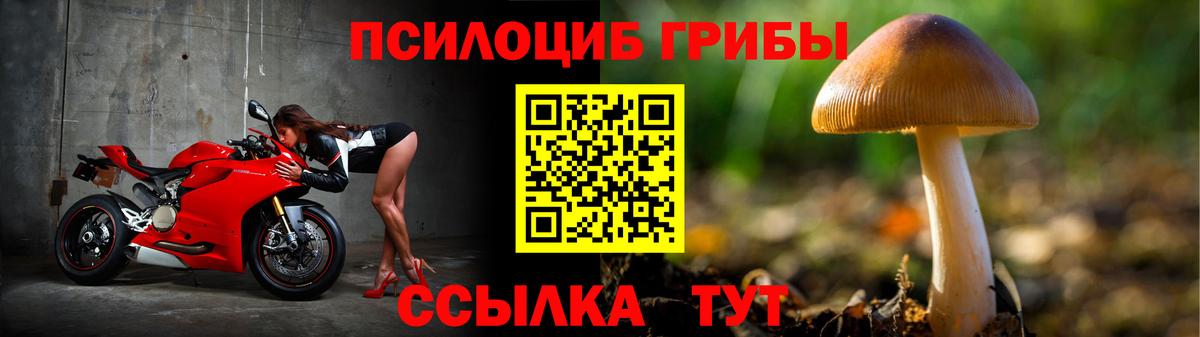 Псилоцибиновые грибы GOLDEN TEACHER Богородицк