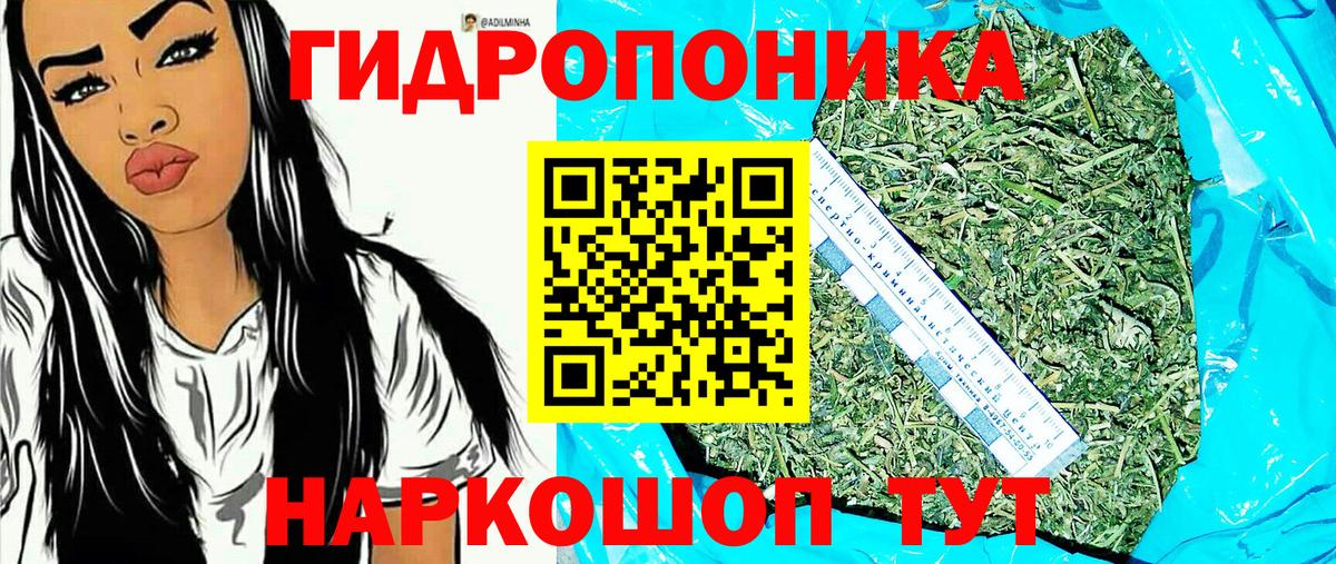 Бошки марихуана ГИДРОПОН  Вход с VPN  Каннабис MAZAR  Богородицк  Марихуана индика 